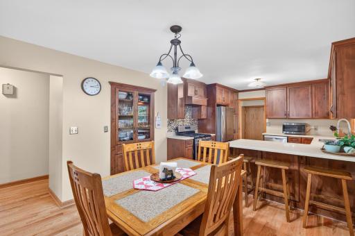 311 Sophia Avenue, Hamburg, MN 55339