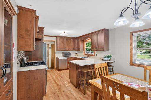 311 Sophia Avenue, Hamburg, MN 55339