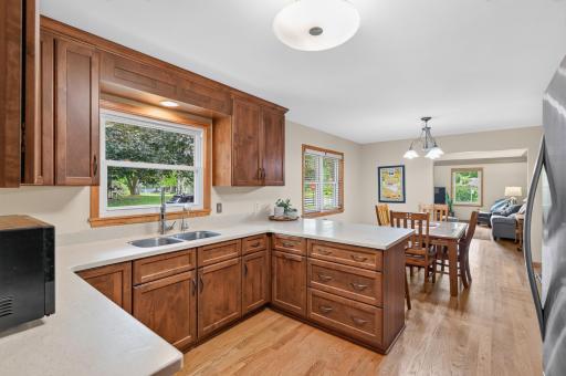311 Sophia Avenue, Hamburg, MN 55339