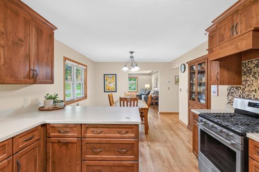311 Sophia Avenue, Hamburg, MN 55339