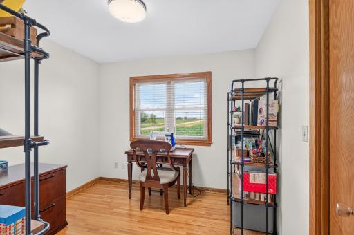 311 Sophia Avenue, Hamburg, MN 55339