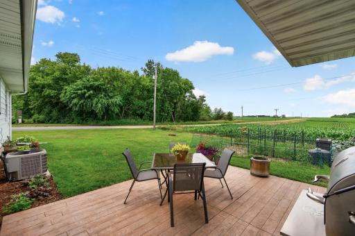 311 Sophia Avenue, Hamburg, MN 55339