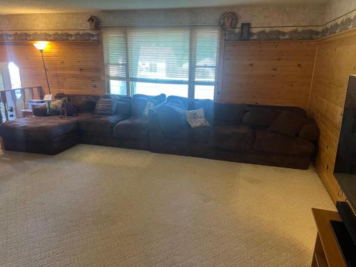 514 Swift Avenue N, Litchfield, MN 55355