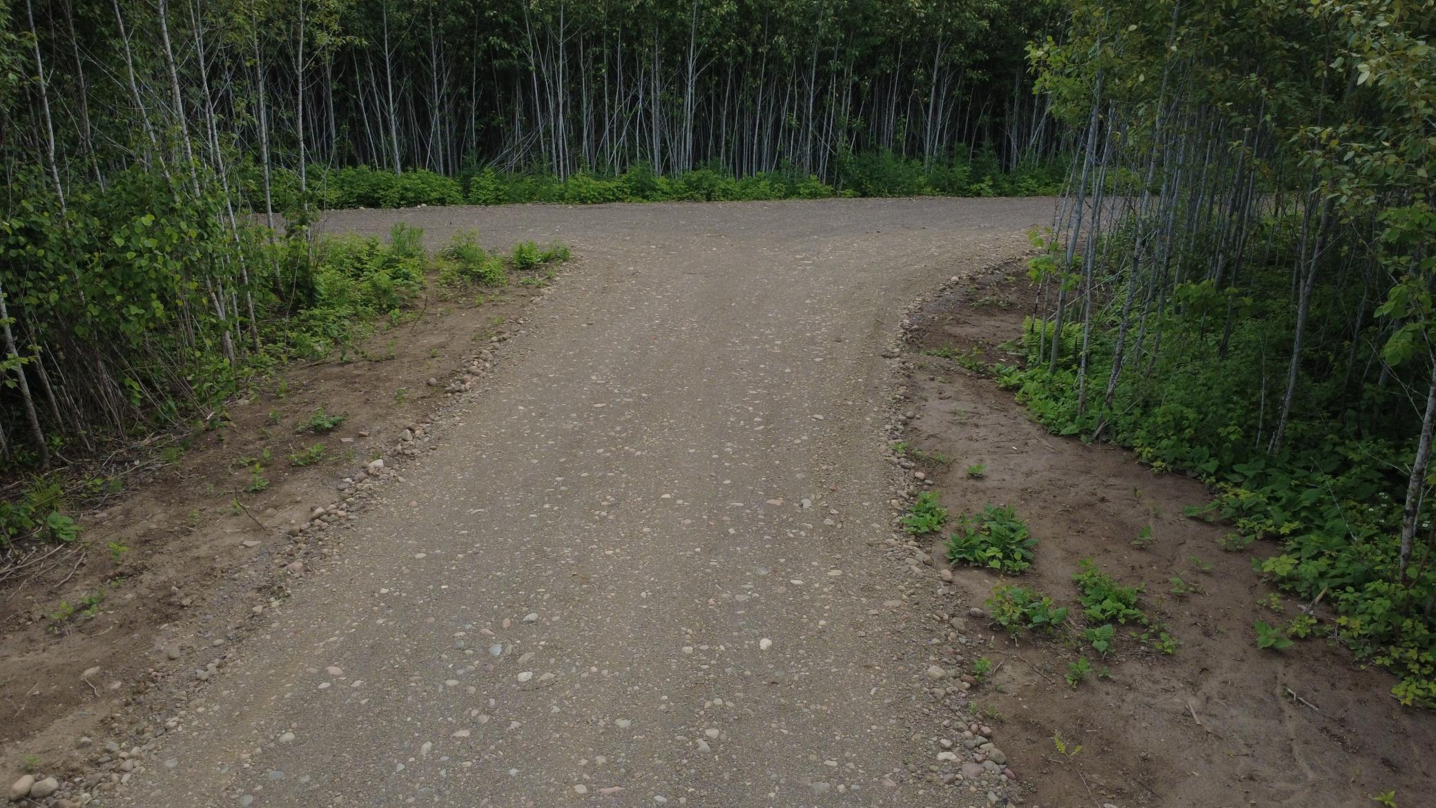 Drone of Driveway
