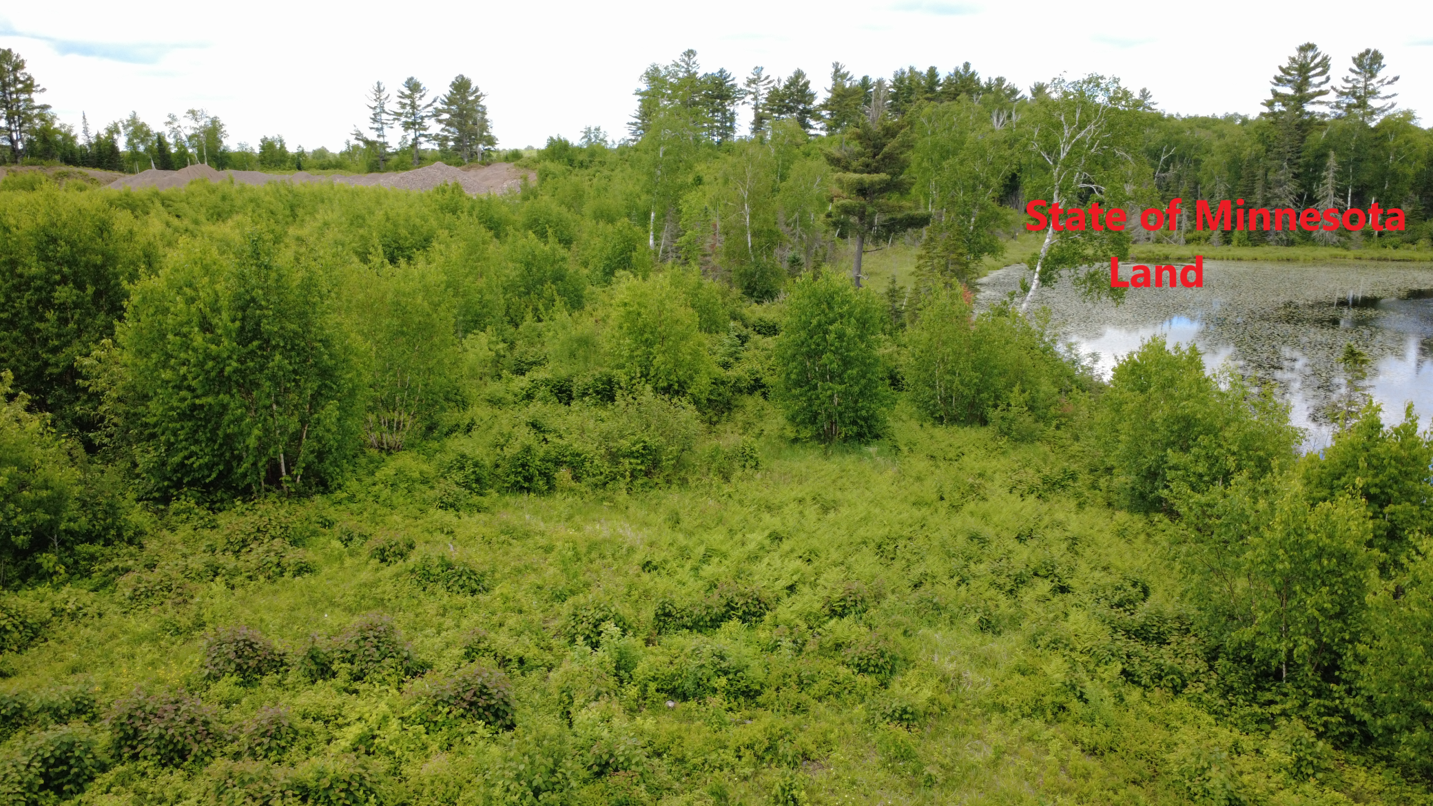 Drone State of Minnesota