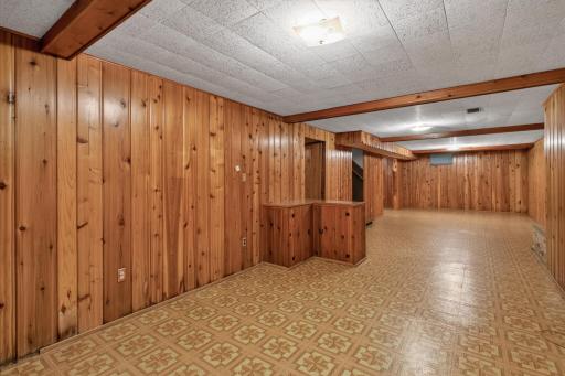 Lower level: 2nd living room/playroom/bonus room