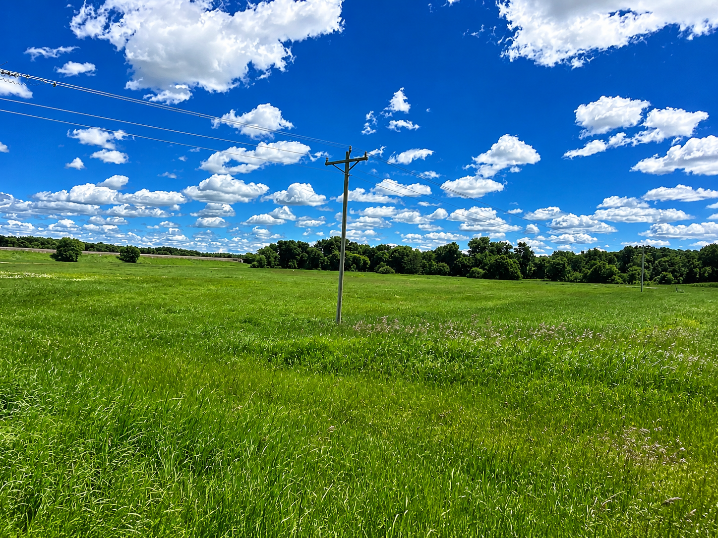 08C53680-6288-4742-A4B2-58C1B3229C4E.PNG