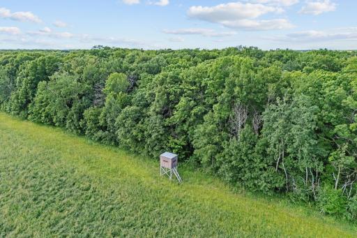 33750 175th Street NE, Foley, MN 56329