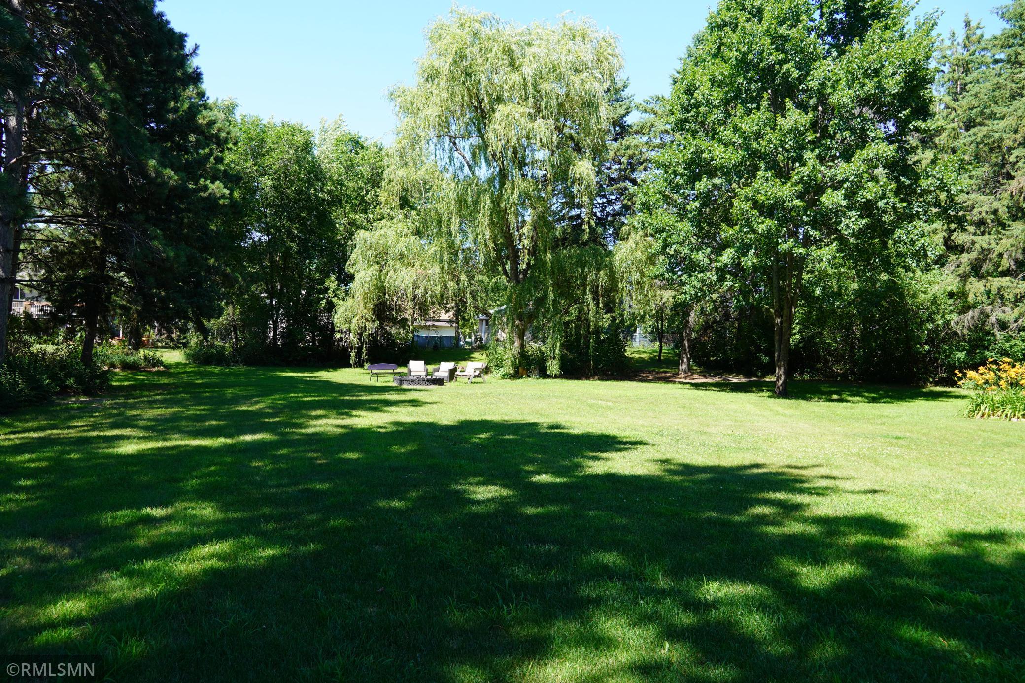 DSC01384.JPG