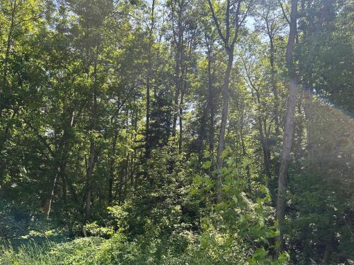 Photo for TBD Town Rd 7, Northome, MN 56661 - listing #7096108 TBD Town Rd 7, Northome, MN 56661