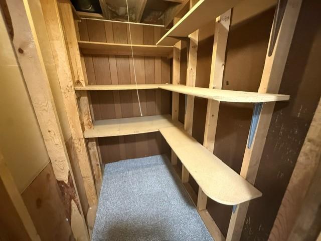 Big storage closet in bsmt