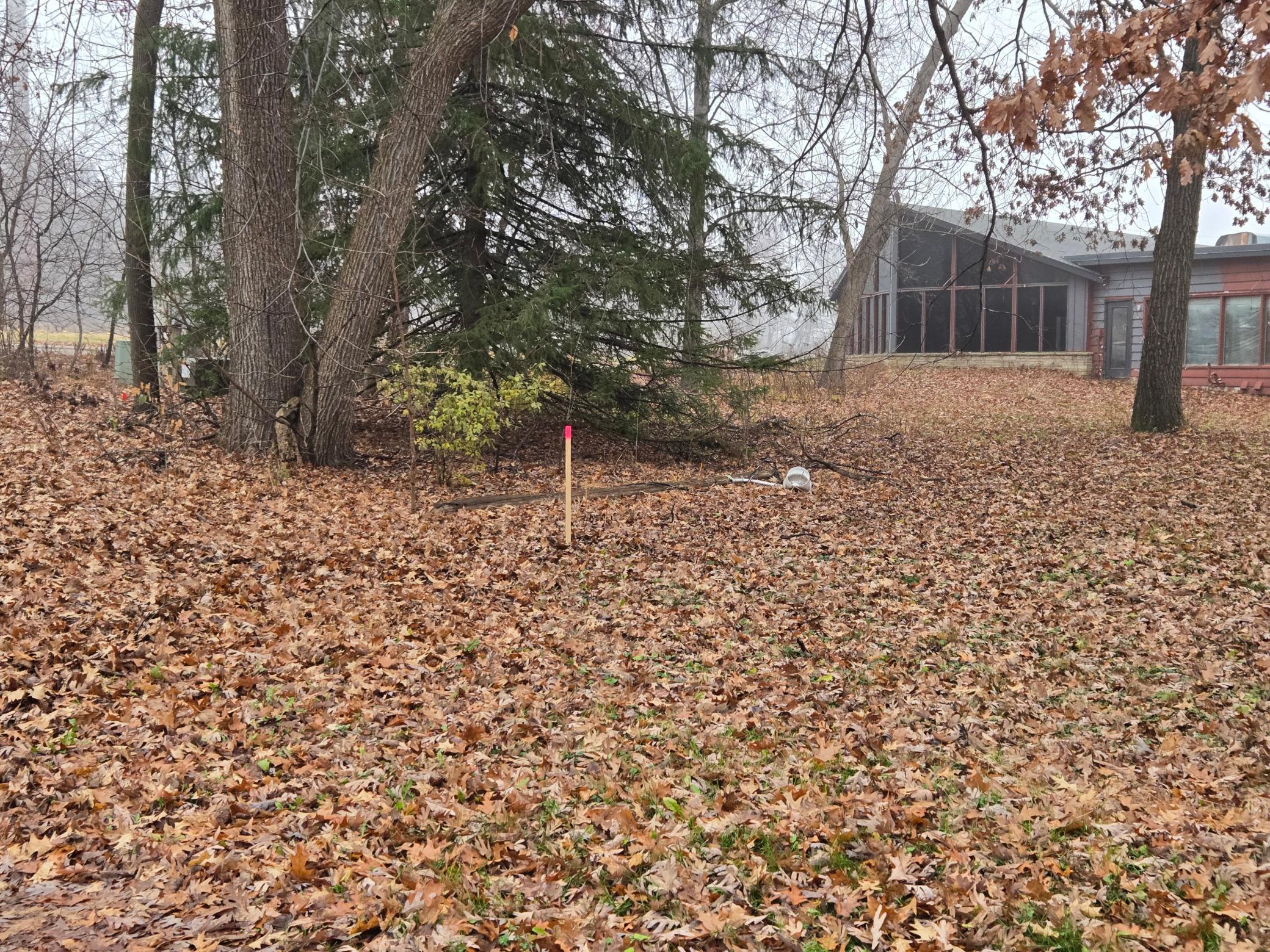 7860 pic 2 from nov 2025.jpg