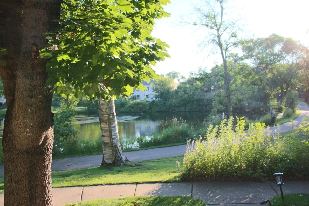 View from front door patio