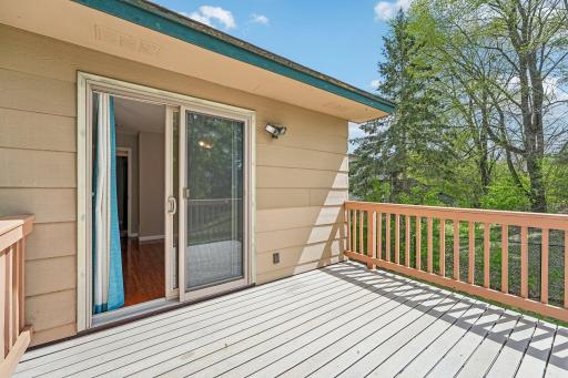33-web-or-mls-Grey Widgeon Pl-S0505-033.jpg