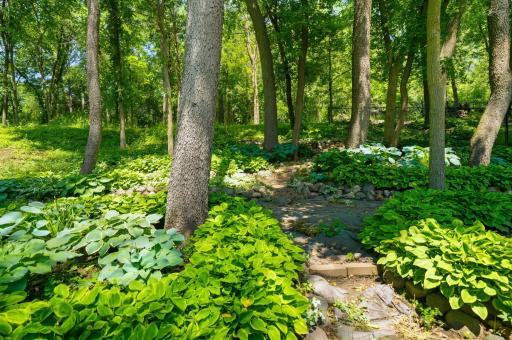 This yard deserves its own showing. You have to experience it in person.
