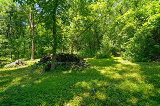 This yard deserves its own showing. You have to experience it in person.