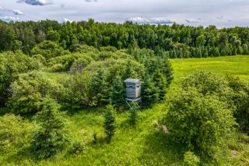 TBD Lindgren Road NE, Bemidji, MN 56601