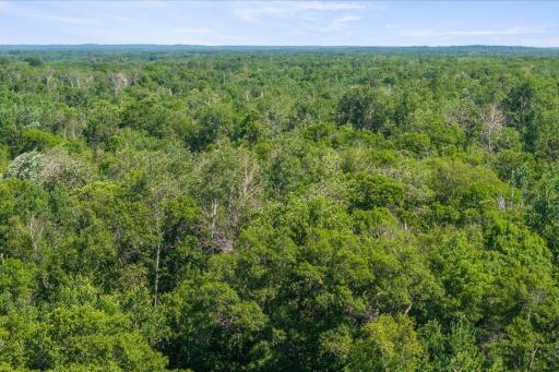 9308 Ossawinnamakee Road, Pequot Lakes, MN 56472