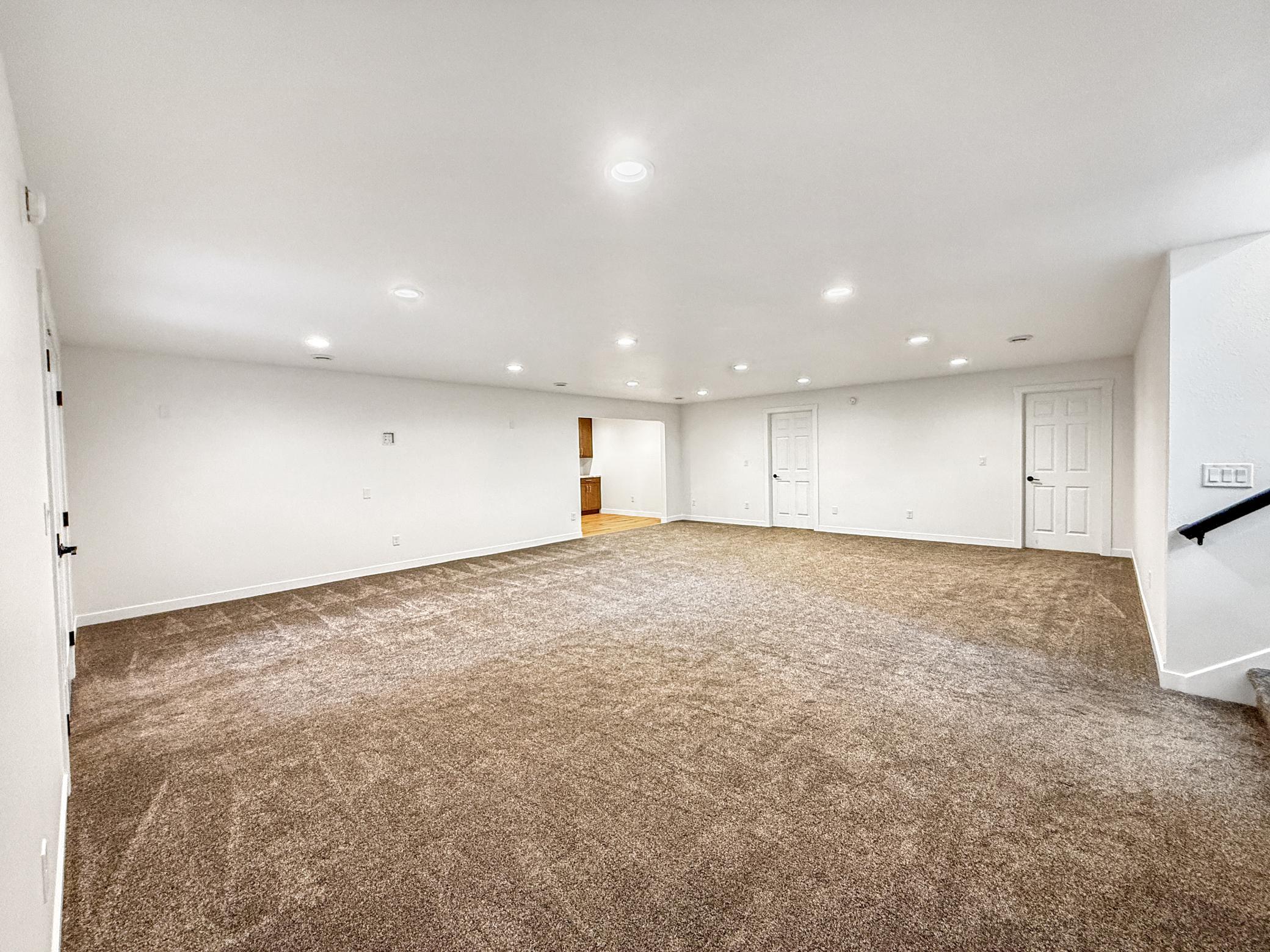 Basement Family Room