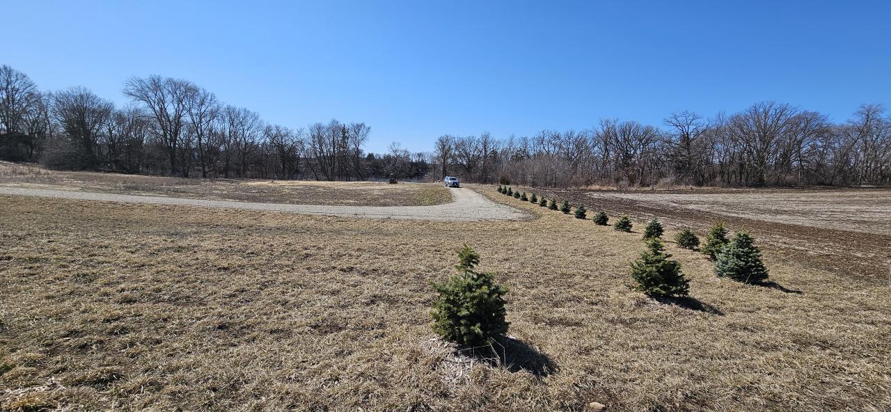 09_Single-Family-For-Sale-by-Owner-80th-St-NW-Annandale-MN-55302-fe509.jpg