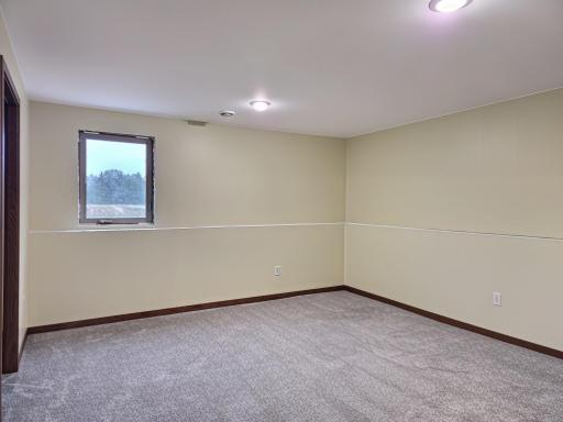 Second bedroom in basement, also with walk in closet