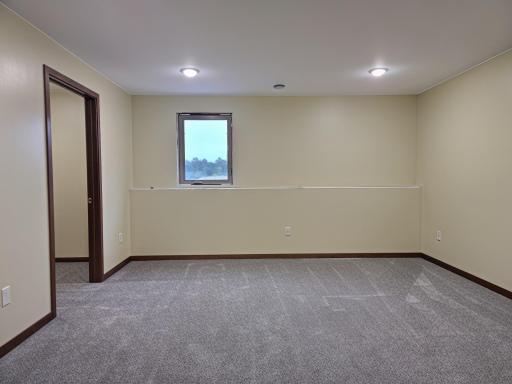 3rd bedroom in basement, features walk in closet