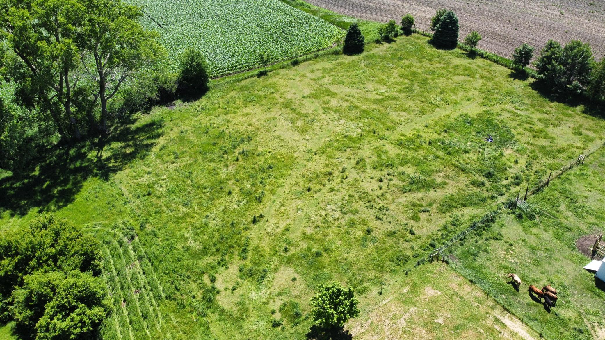 dji_fly_20260624_120448_556_1782351642061_photo_optimized.JPG