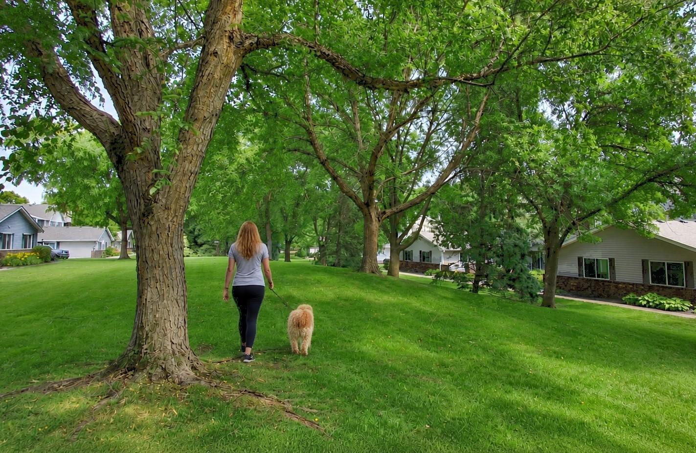 Plentiful Greenspace!
