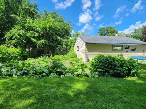 Lovely garden behind garage