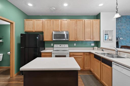 48 River Woods Drive W, Saint Paul Park, MN 55071