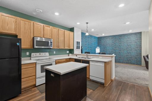 48 River Woods Drive W, Saint Paul Park, MN 55071