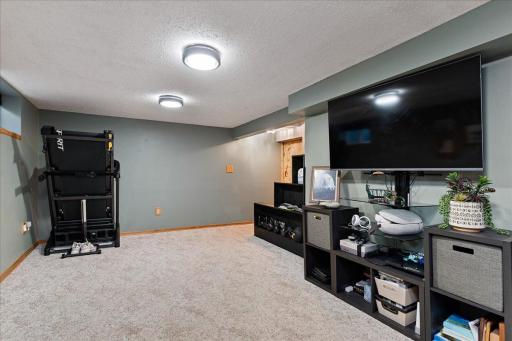 spacious lower level family room has room exercize area as well