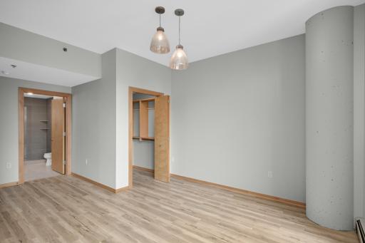 1120 S 2nd Street, 316, Minneapolis, MN 55415
