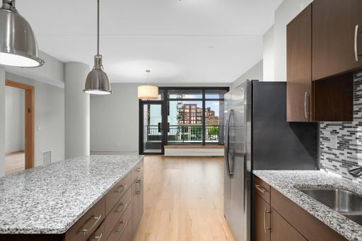 1120 S 2nd Street, 316, Minneapolis, MN 55415