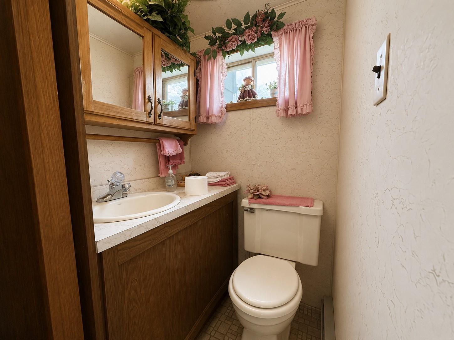 1717 Pine St Rd lower bathroom1.JPG.png.JPG