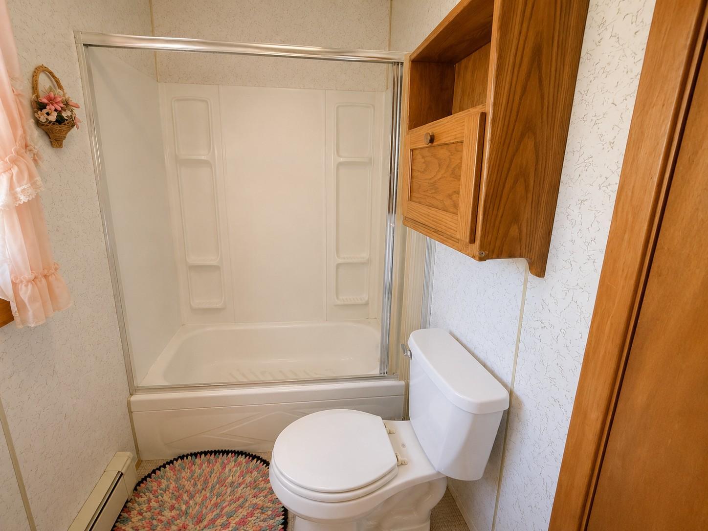 1717 Pine St Rd main bathroom2.JPG.png.JPG
