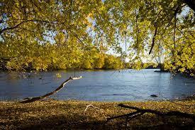 Riverwalk is where dream homes are made! Fall in love with the community pool, club house, miles of walking trails, parks, & the Mississippi river just down the street with Cloquet Overlook Park. It's a beautiful blend of city & lots of nature!!!!!!