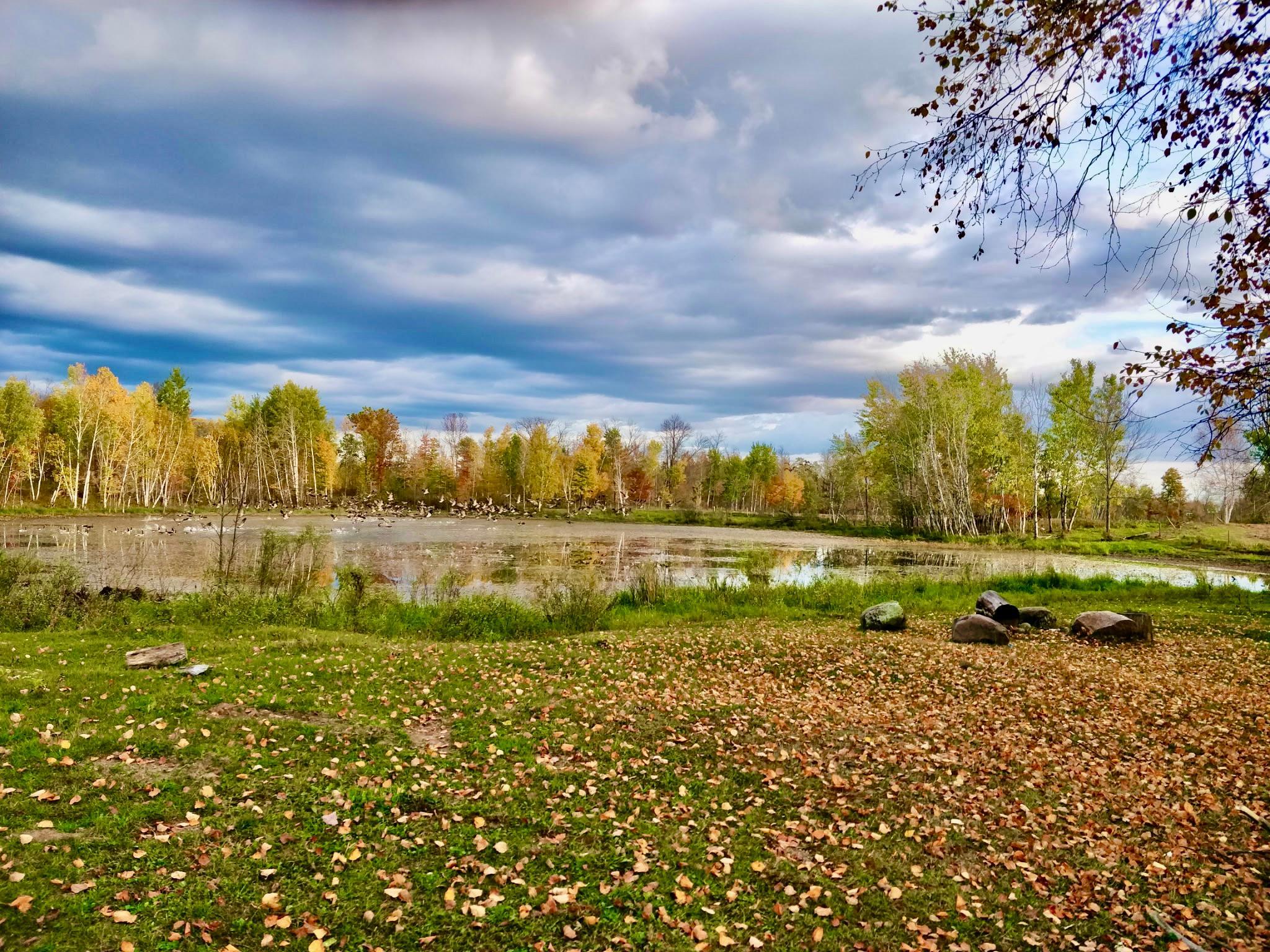 IMG_20260625_082426 (1).JPG