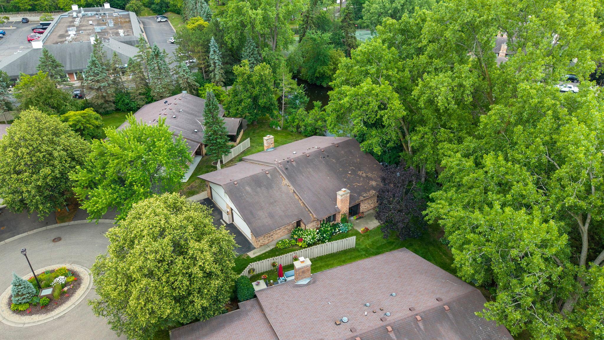 Beautiful Tree coverage