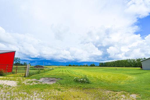 DSC_4164.jpg