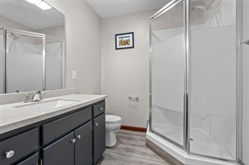 The large shower and updated lower level bathroom feature just the space you crave.-182.jpg
