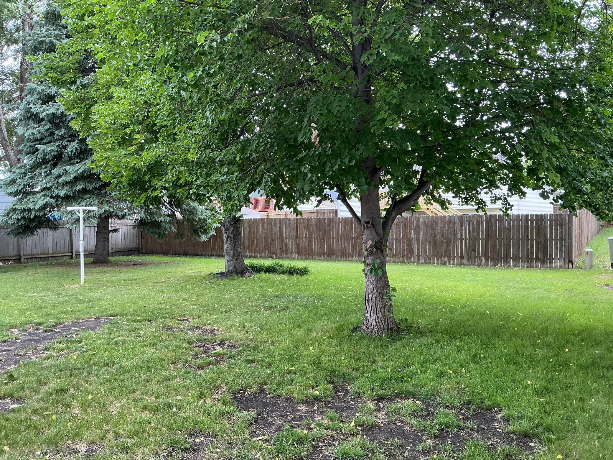 Partially fenced back yard
