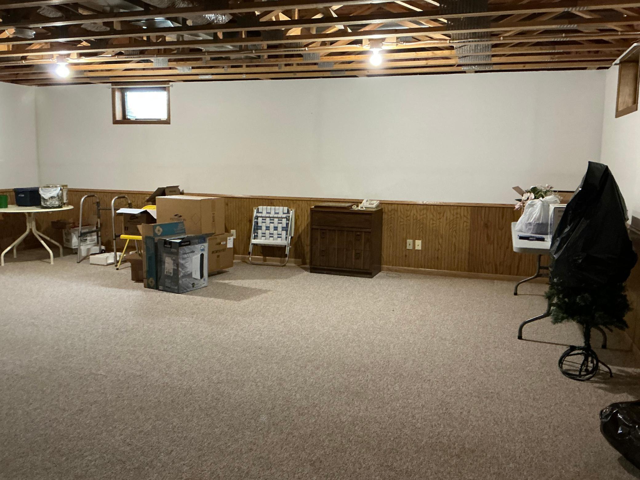 Basement Family Room