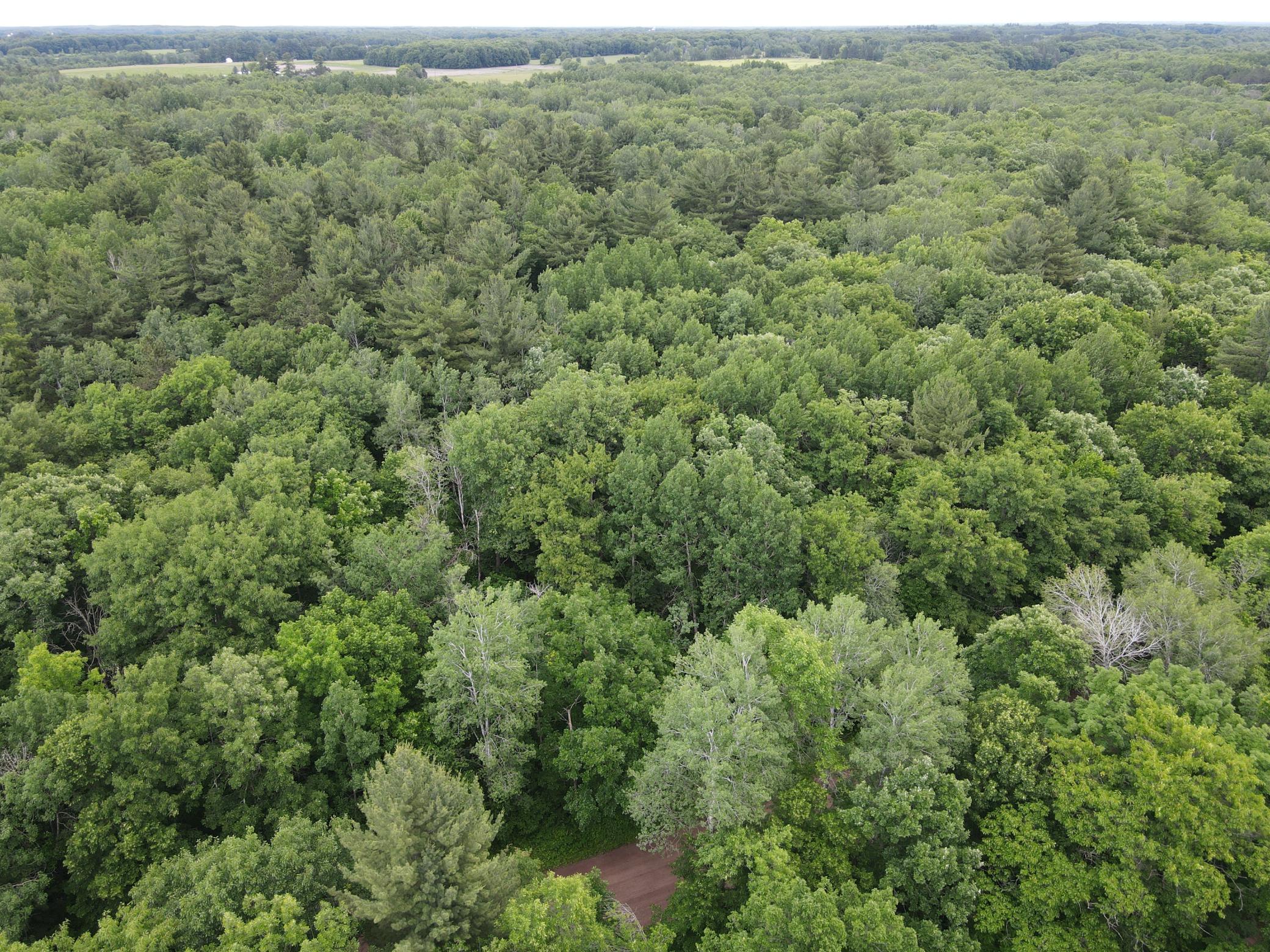 DJI_0937.JPG