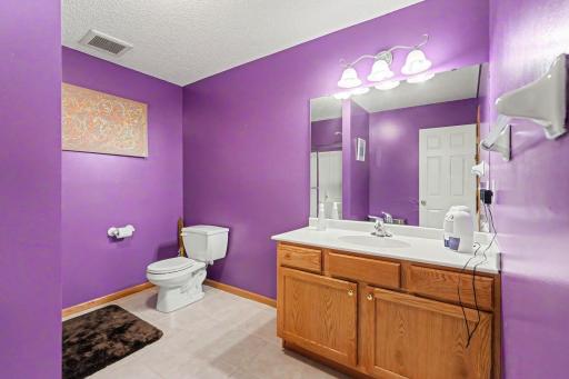 6452 Pheasant Hills Drive, Hugo, MN 55038