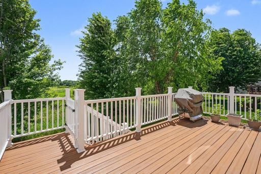 6452 Pheasant Hills Drive, Hugo, MN 55038