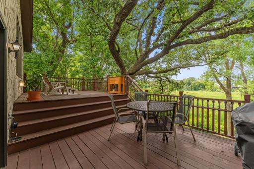 Two Tiered deck