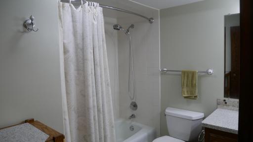 Lower Level Full Bath