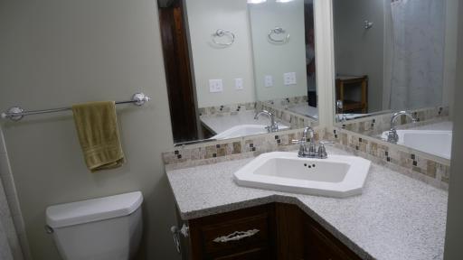 Lower Level Full Bath