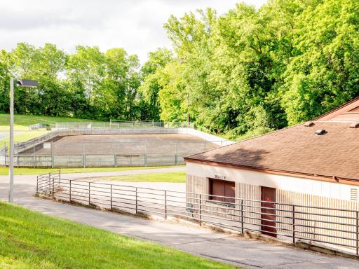 Community Hockey Rinks (more fun in Winter)